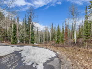 View of road with a view of trees
