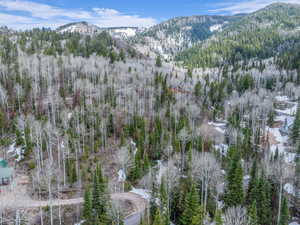 View of mountain background featuring a heavily wooded area