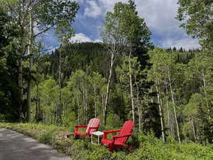 View of yard with a forest view