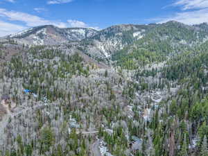 View of mountain background with a forest