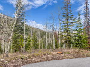 View of wooded area