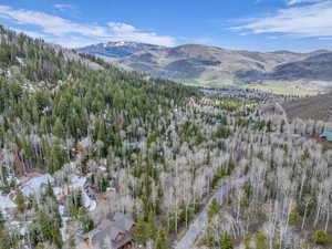 View of mountain background featuring a forest