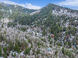 Snowy aerial view with a mountain view and a forest view