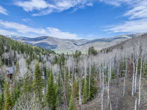 View of mountain backdrop featuring a forest
