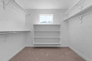 Walk in closet with carpet floors