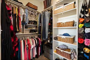 Walk in closet featuring carpet floors