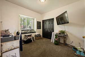 View of carpeted entrance foyer