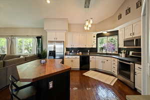 Kitchen with stainless steel appliances, wood counters, a sink, dark wood-style floors, and open floor plan