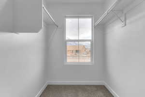 Spacious closet with carpet flooring
