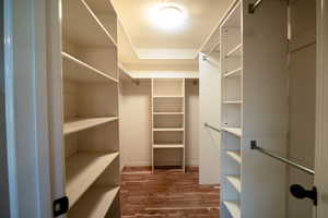 Spacious closet with dark wood-type flooring