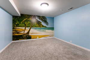 Spare room with carpet, baseboards, and a textured ceiling