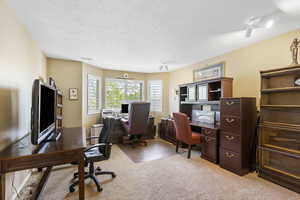 Home office featuring carpet and a textured ceiling