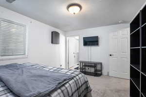 Carpeted bedroom with a textured ceiling