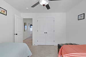 Bedroom with large  closet with organizer