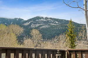 View of mountain backdrop with a forest