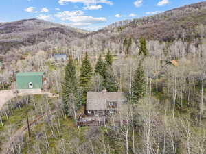 View of mountain backdrop with a forest