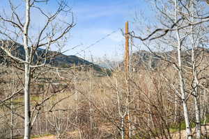 View of mountain background