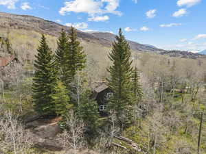 Mountain view featuring a forest