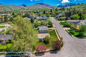 Aerial