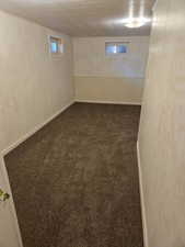 Below grade area with dark carpet