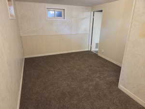 Basement featuring carpet, wooden walls, and wainscoting