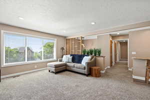 Carpeted living area