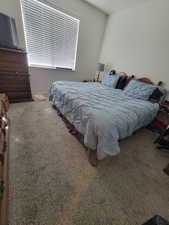 Bedroom with carpet flooring