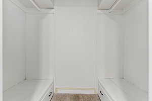 Walk in closet with attic access