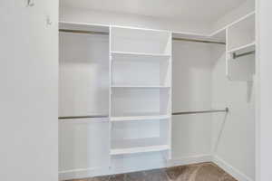 Walk in closet with carpet floors