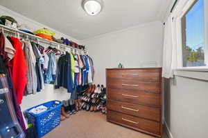 Spacious closet featuring carpet floors