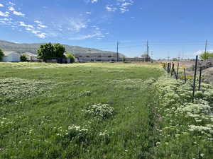 View From the NorthWest Property Line Looking Due South