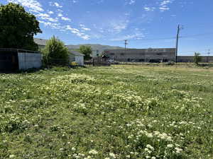 Pasture Behind the Out Buildings Looking South