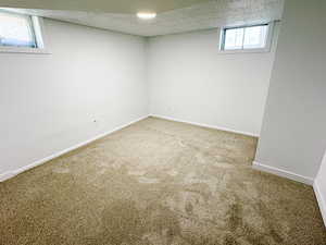 Below grade area featuring carpet flooring, baseboards, and a textured ceiling