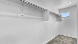 Spacious closet featuring carpet flooring