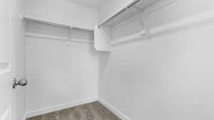 Walk in closet featuring carpet floors