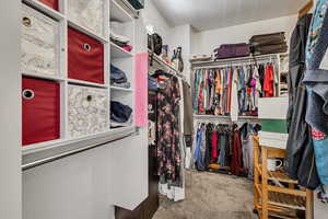 Spacious closet featuring carpet