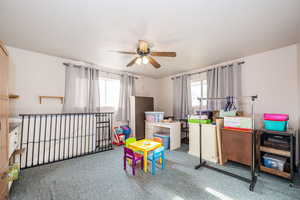 Recreation room with a ceiling fan, healthy amount of natural light, and carpet flooring