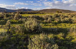 Bench Sage Flat.