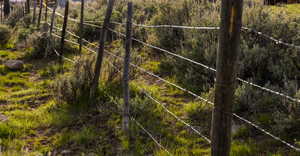 North fence line adjacent to thousands of acres of The Big Piney Ranch.