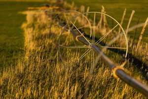 Irrigation wheel line.