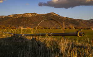 Irrigation line on the South property line.