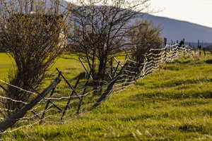 View of the East fence line.