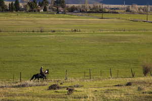 Bench view to the South and lower alfalfa field.