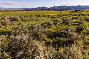 Sage bench view.