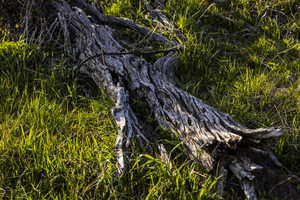 Photo 39 of 