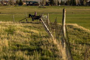 Corner of interior fence running South and then East.