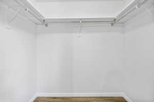 Spacious closet with wood finished floors