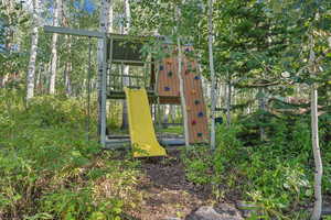 View of jungle gym