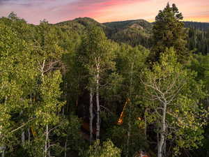 Mountain view featuring a heavily wooded area