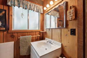 Bathroom featuring wood walls and vanity